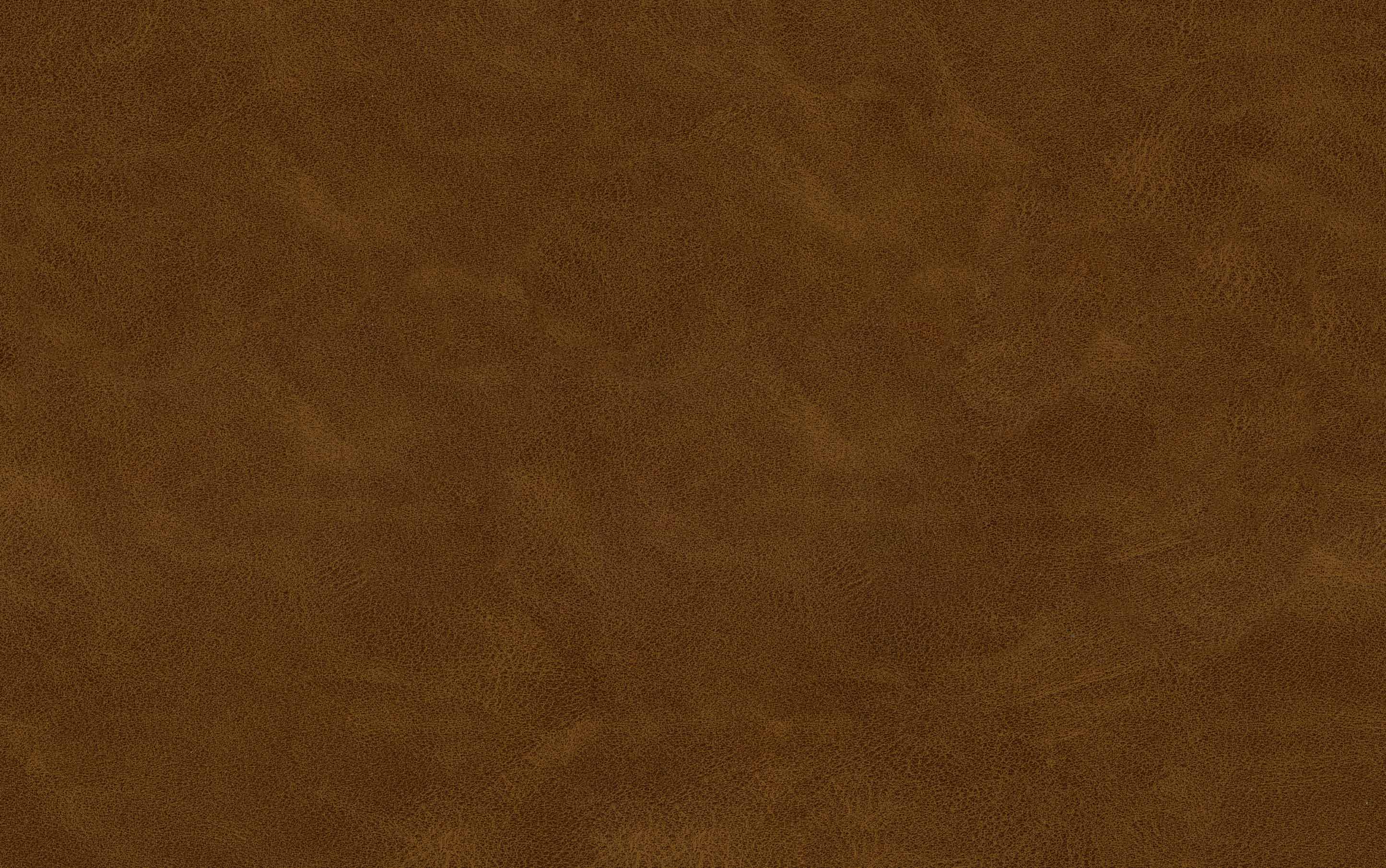 Marana Dining Chair in Vegan Leather