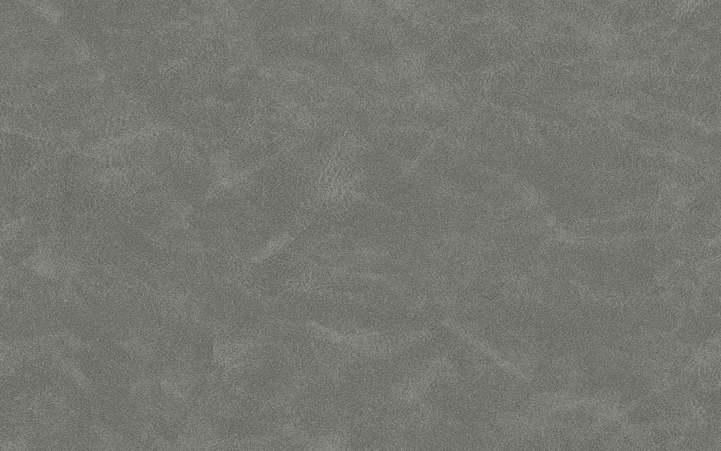 Malden Dining Chair with Wood Back