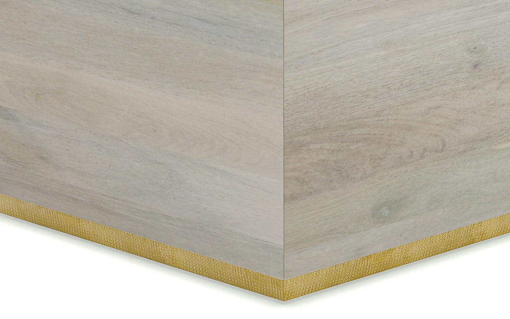 Abba Square Coffee Table in Mango