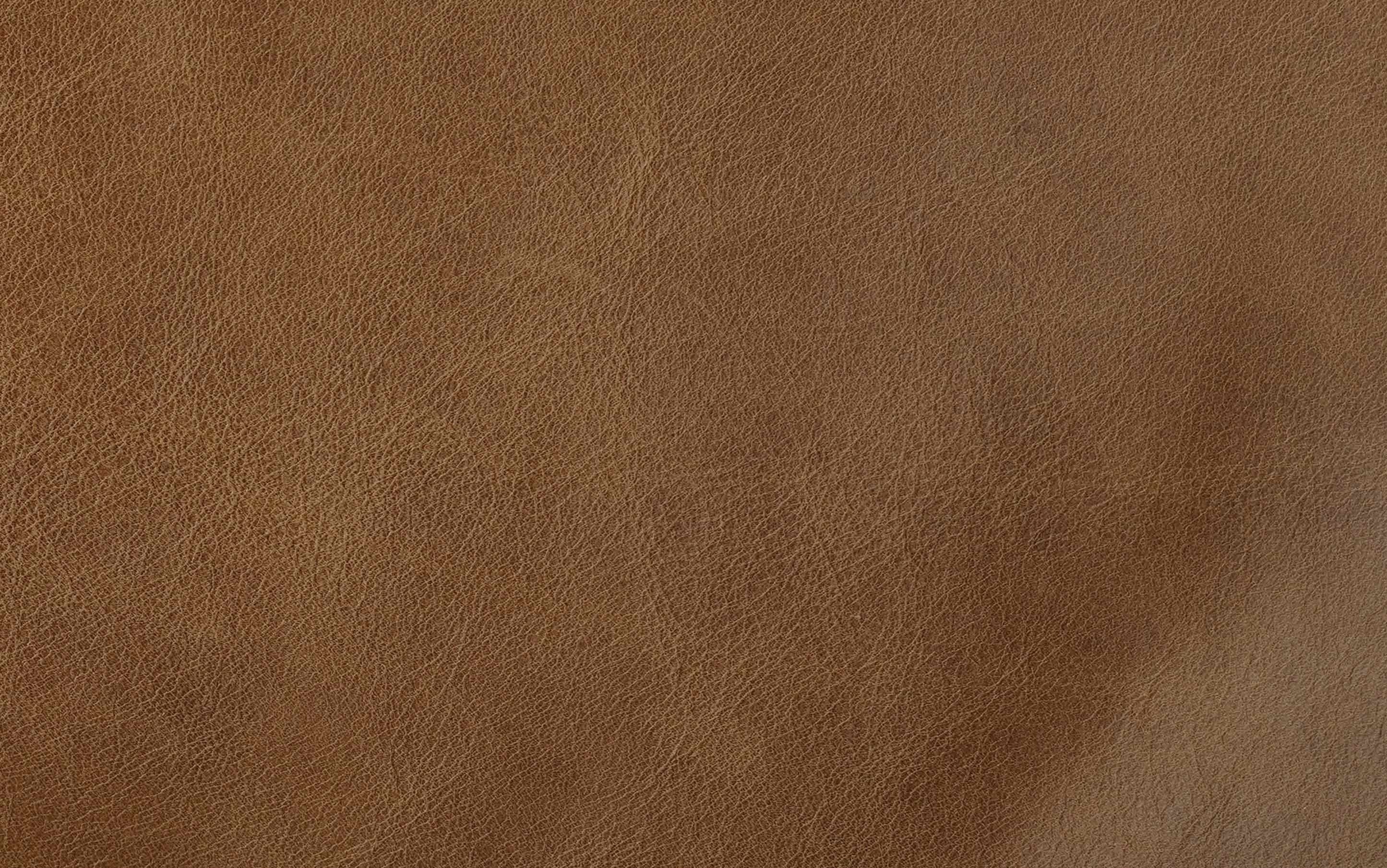 Morrison Arm Chair in Genuine Leather