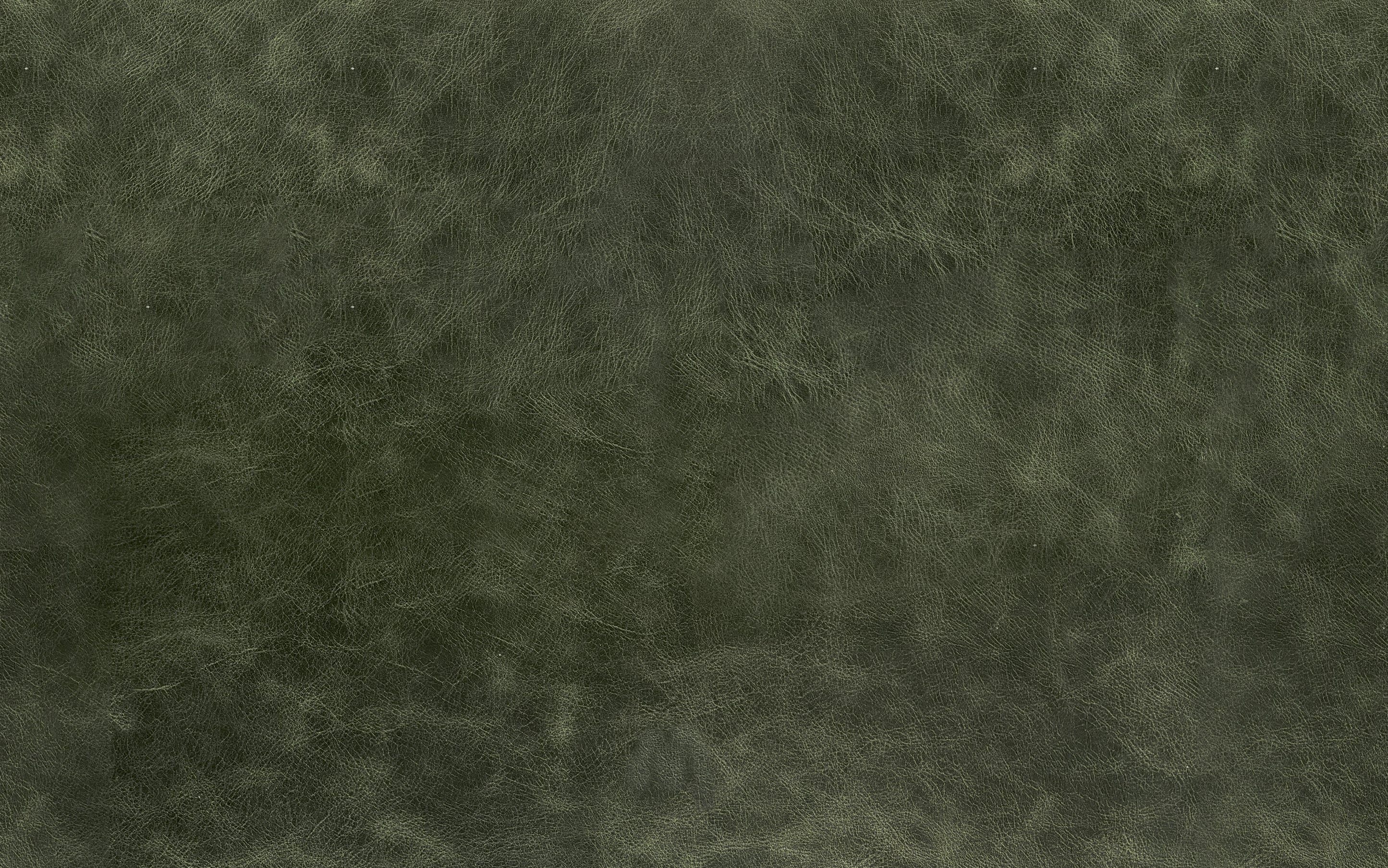 Morrison Arm Chair in Genuine Leather