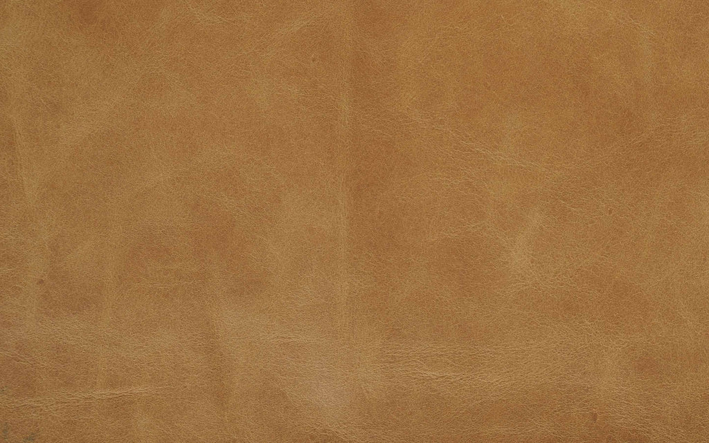 Morrison Arm Chair in Genuine Leather