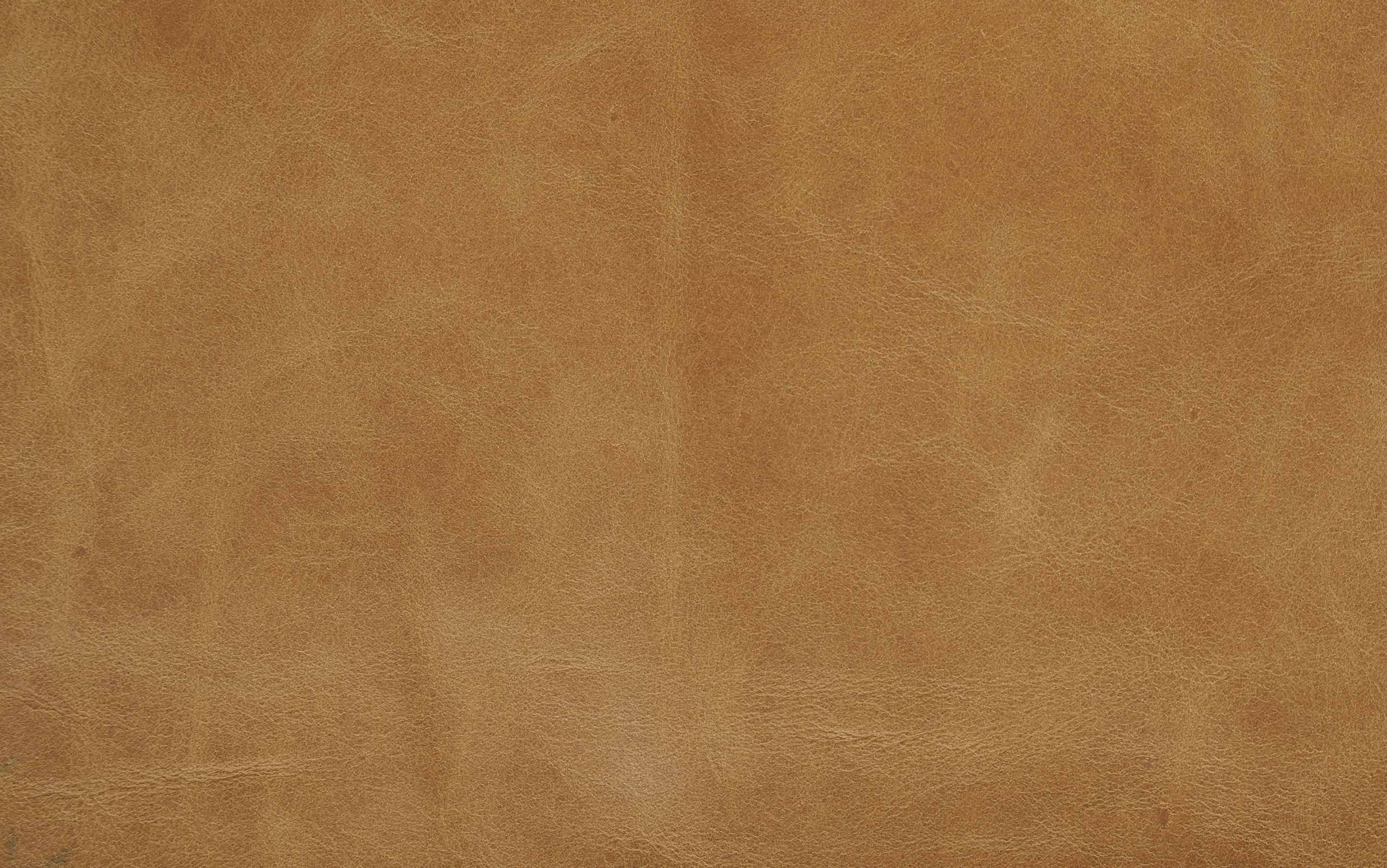 Morrison Arm Chair in Genuine Leather