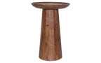 Dayton Wooden Accent Table in Mango