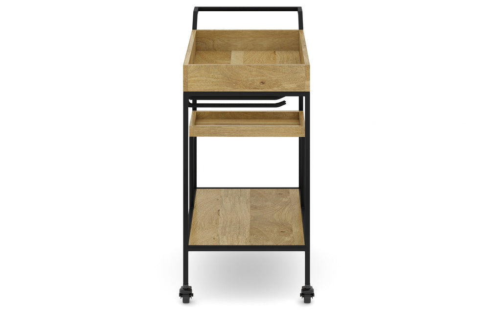 Barnes 29 inch Bar Cart in Mango