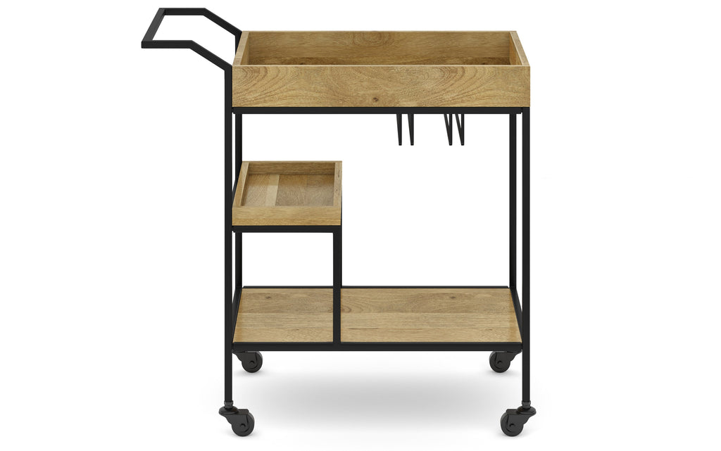 Barnes 29 inch Bar Cart in Mango