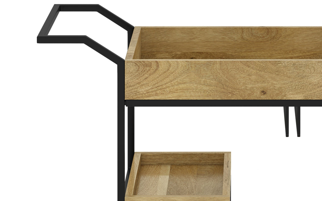 Barnes 29 inch Bar Cart in Mango