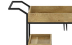 Barnes 29 inch Bar Cart in Mango