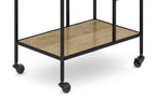 Barnes 29 inch Bar Cart in Mango