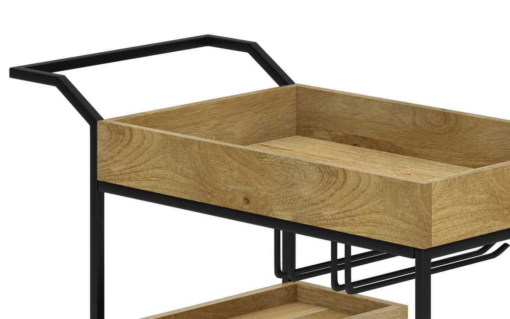 Barnes 29 inch Bar Cart in Mango
