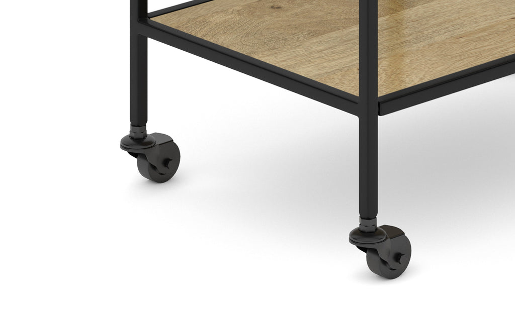 Barnes 29 inch Bar Cart in Mango