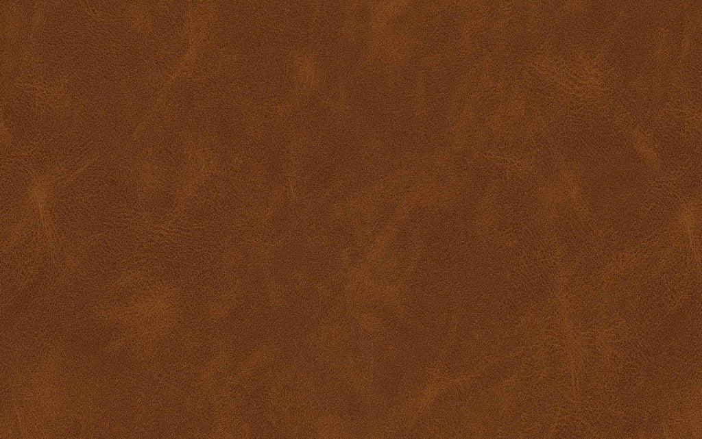 Dafney Counter Height Stool (Set of 2)