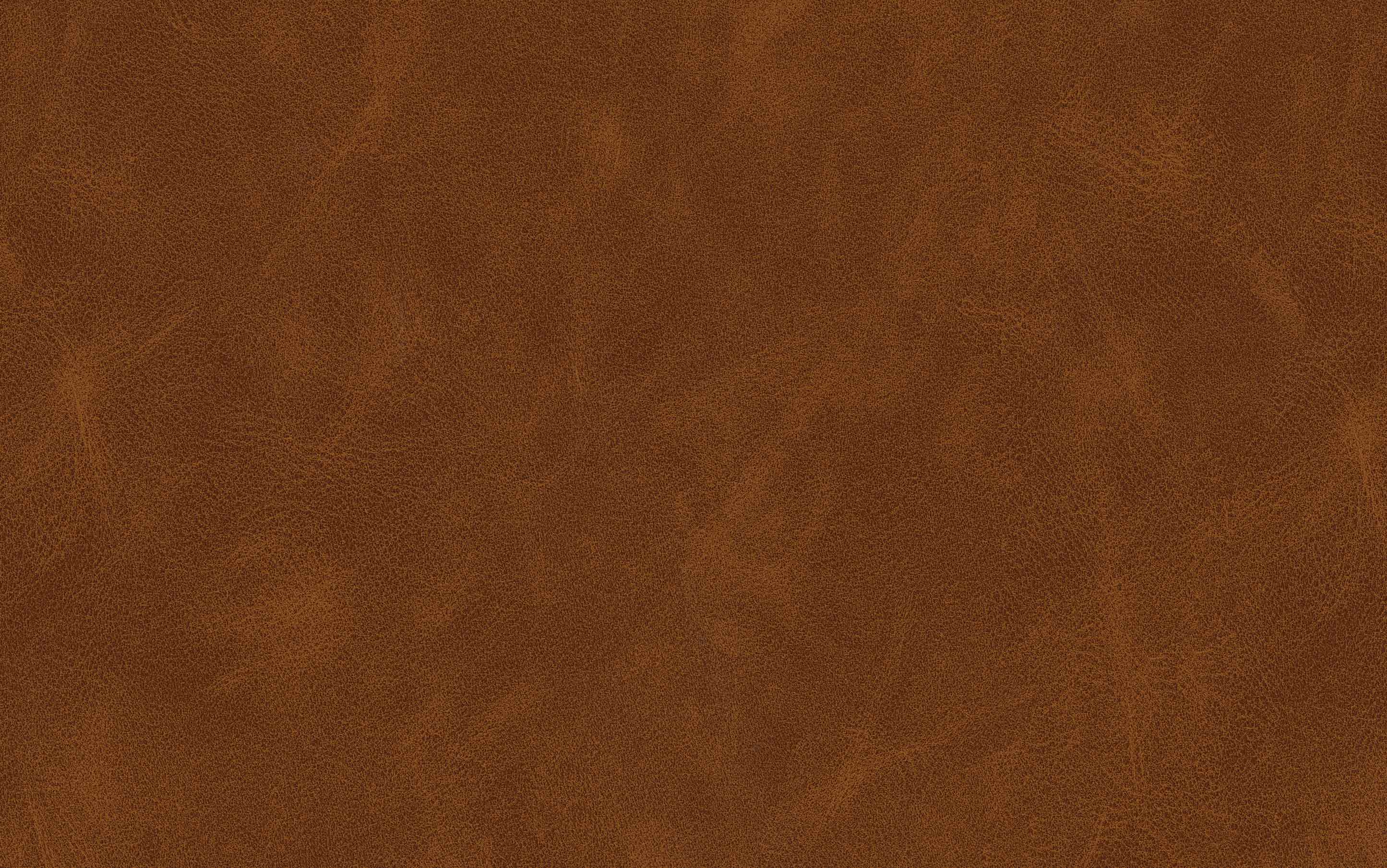 Dafney Counter Height Stool (Set of 2)