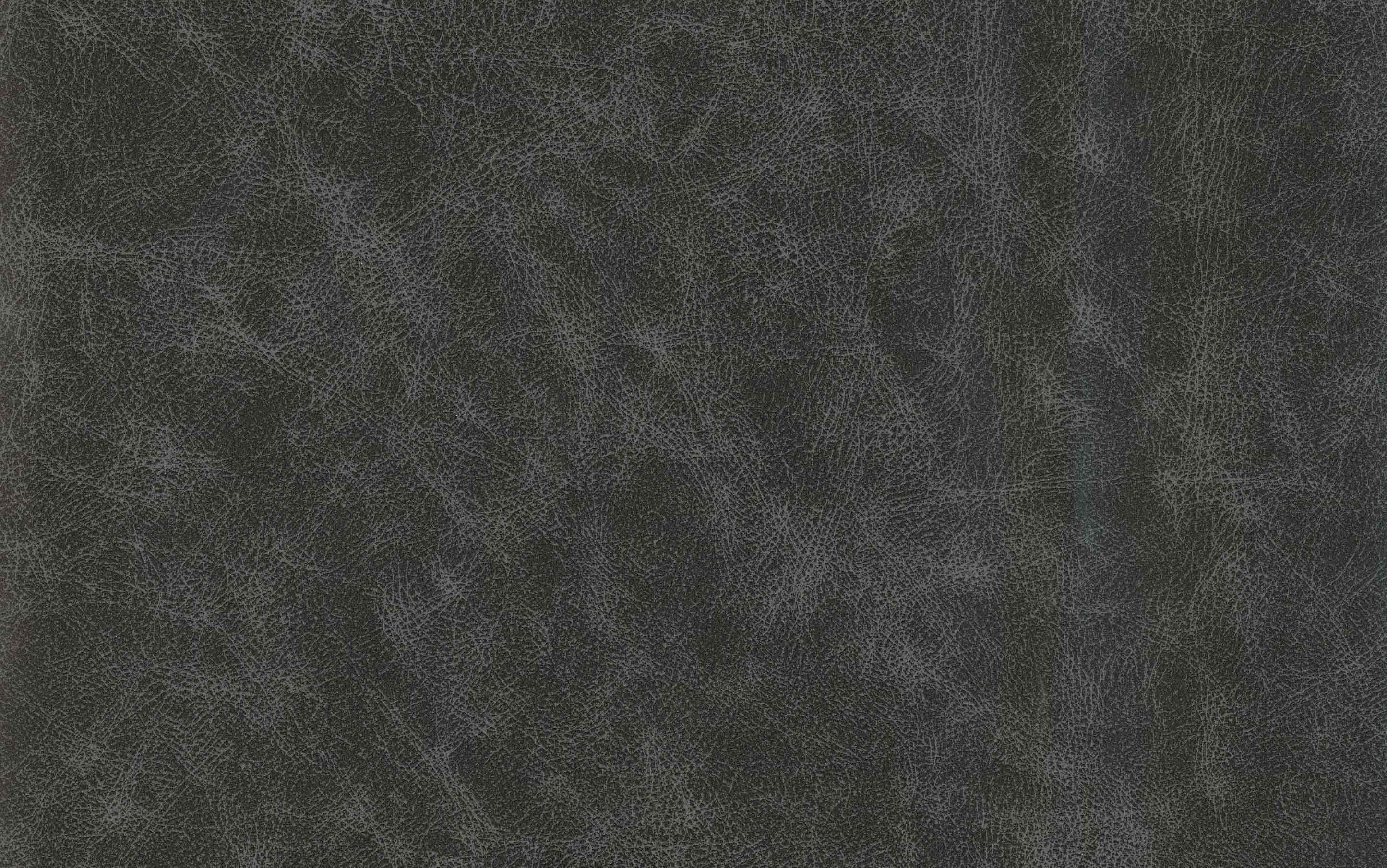 Dafney Counter Height Stool (Set of 2)