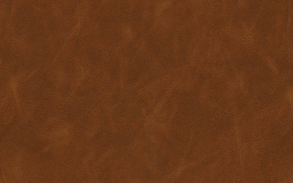 Danika Bar Stool (Set of 2)