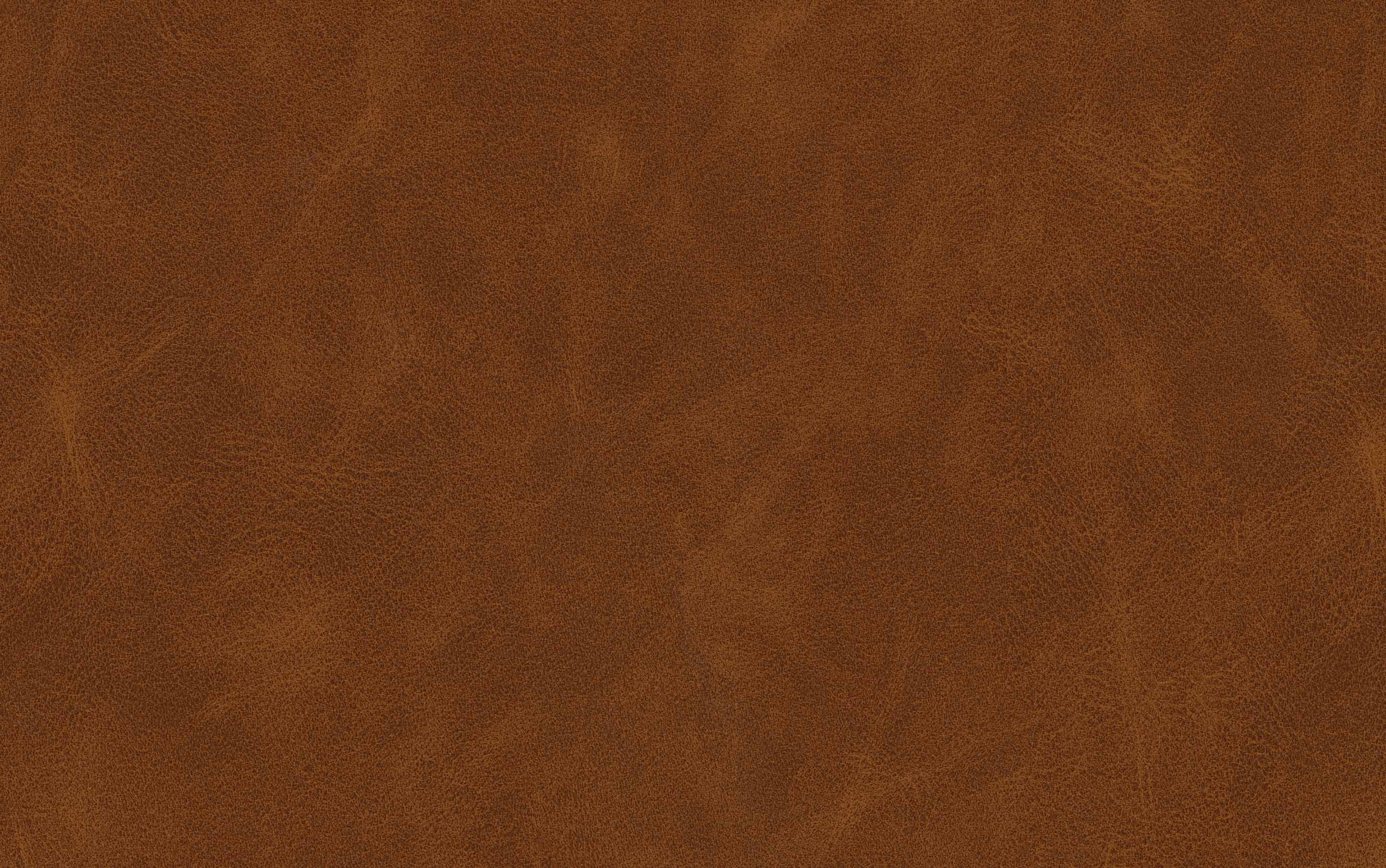 Danika Bar Stool (Set of 2)