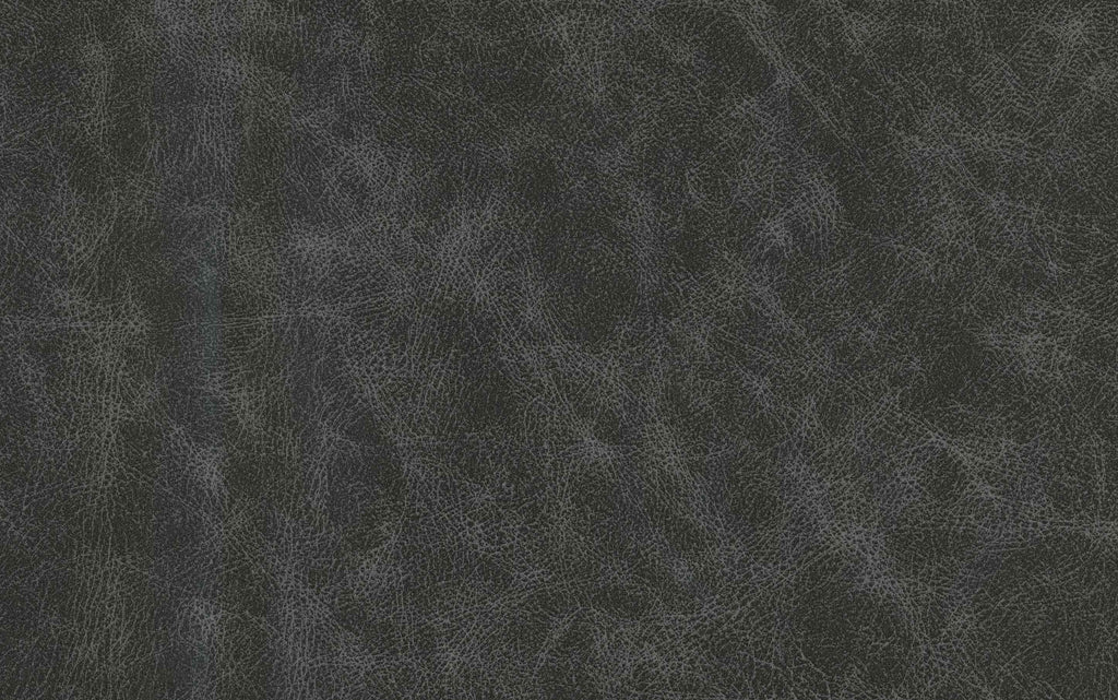 Danika Bar Stool (Set of 2)