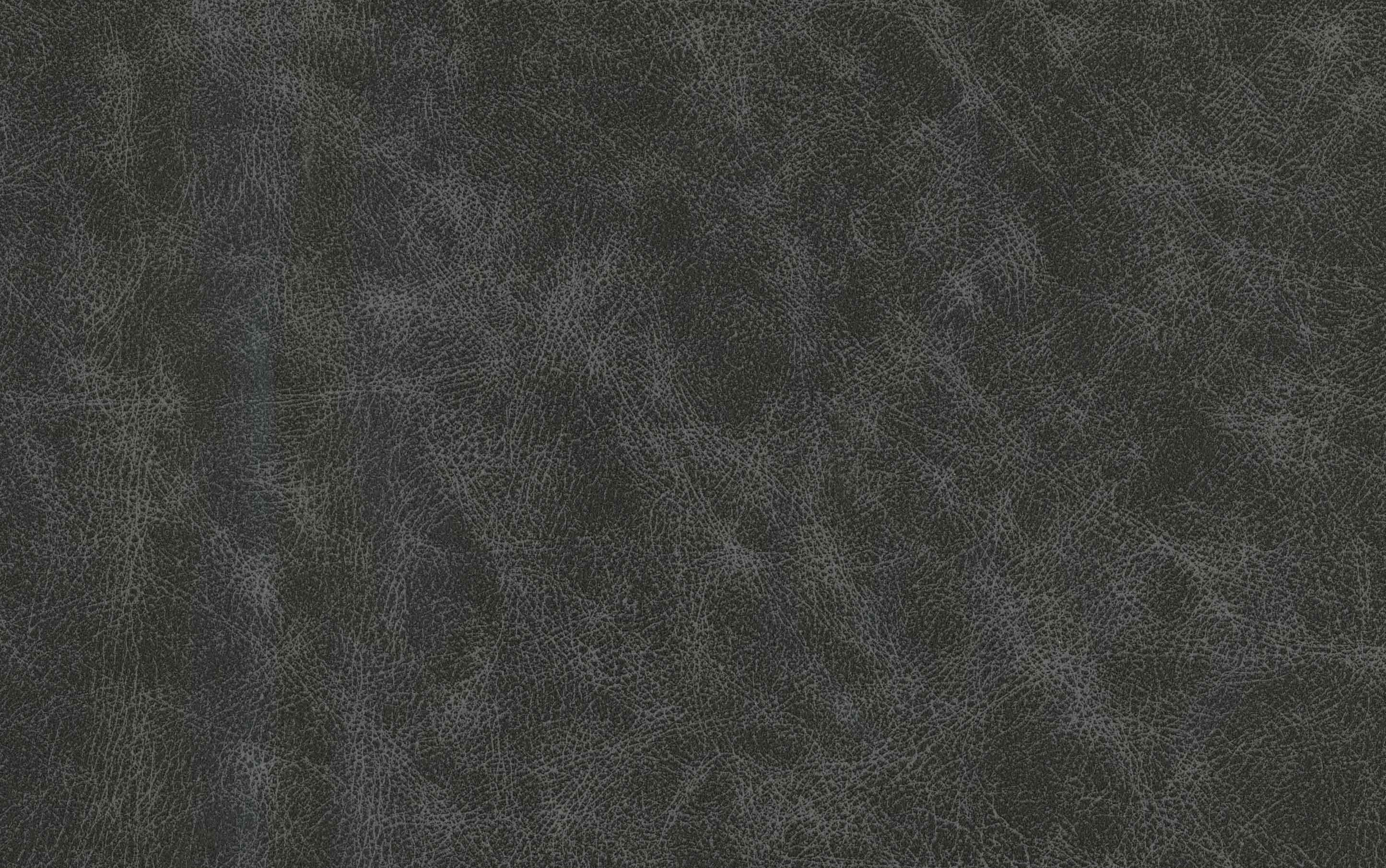 Danika Bar Stool (Set of 2)