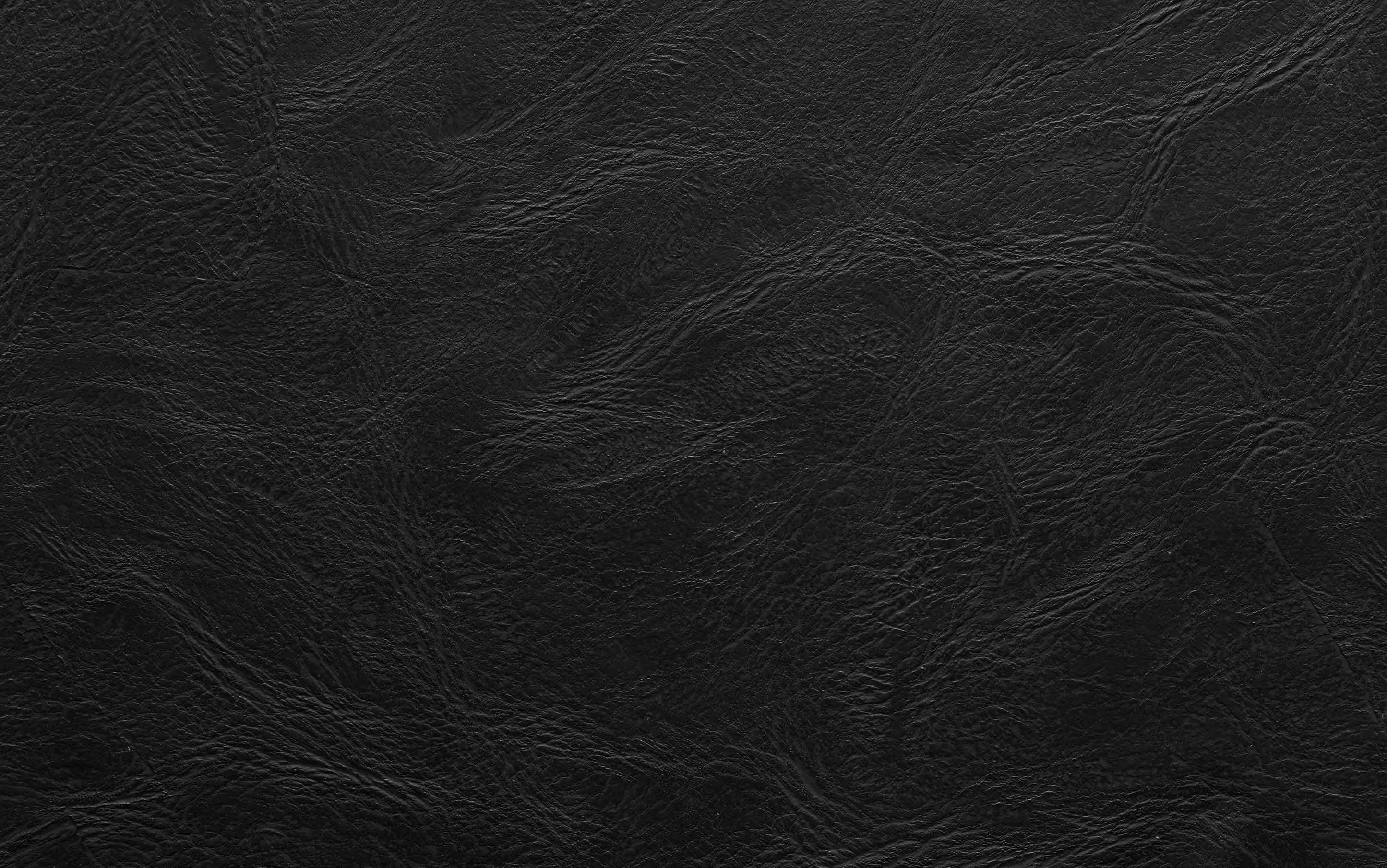 Malden / Draper 7-Piece Dining Set with Wood Back Chair