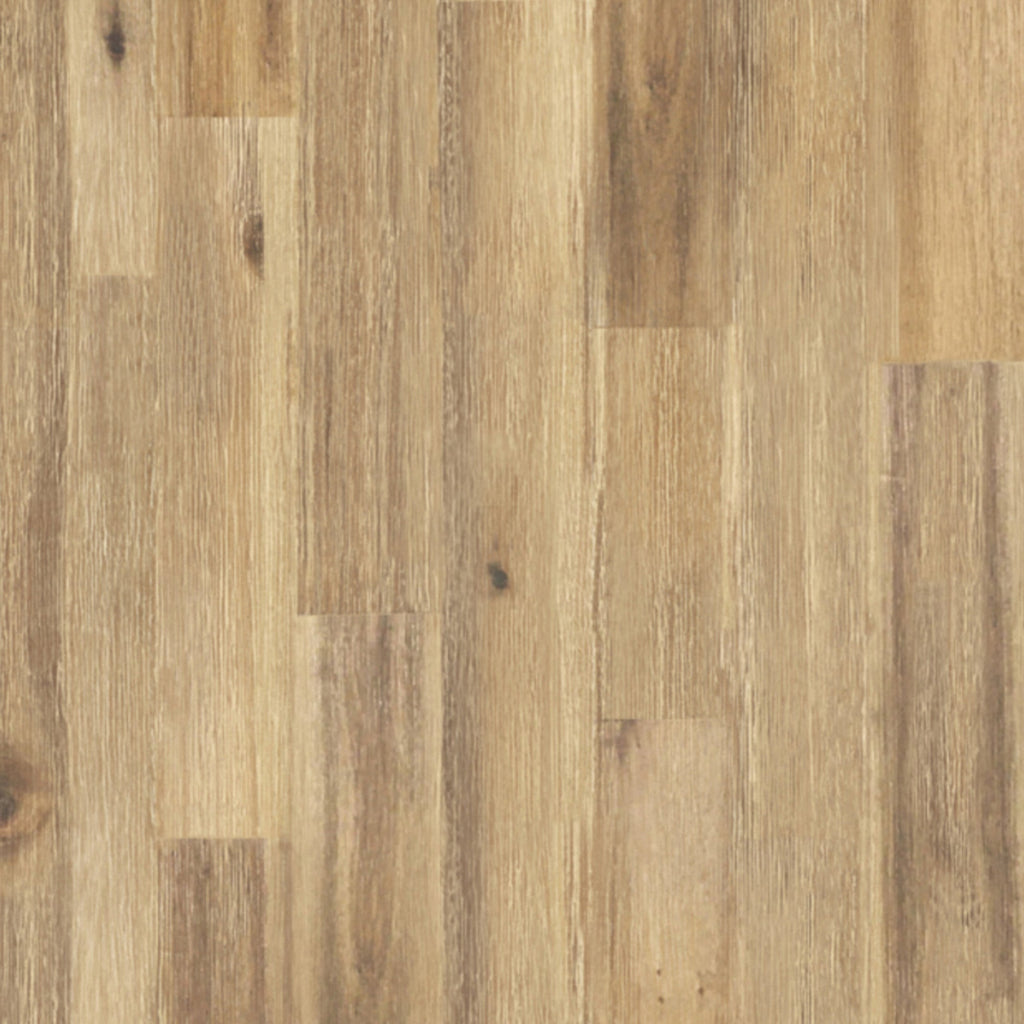 Erina Bookcase in Acacia