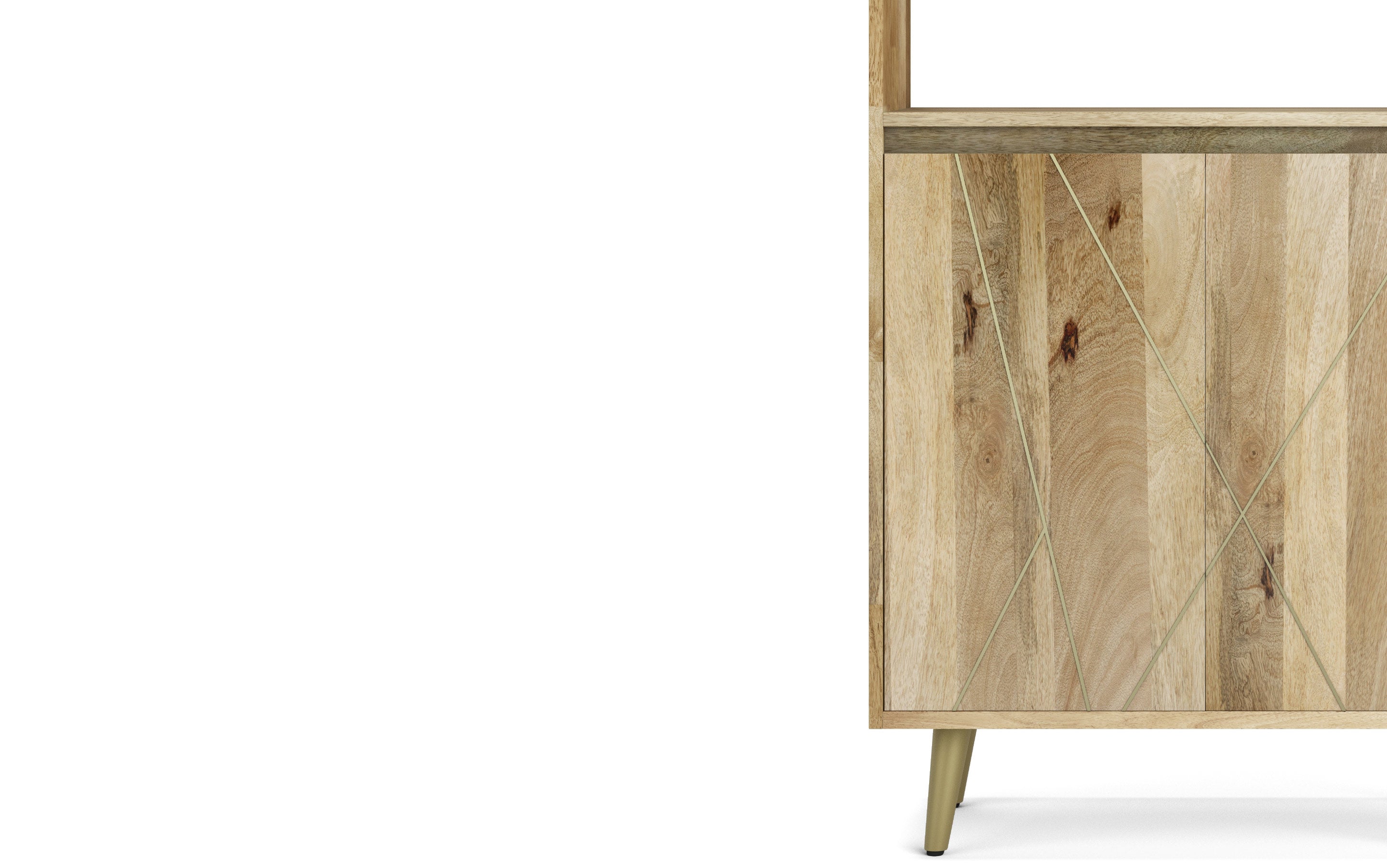 Jager Bookshelf with Doors in Mango