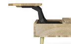 Jager Large Lift Top Coffee Table in Mango