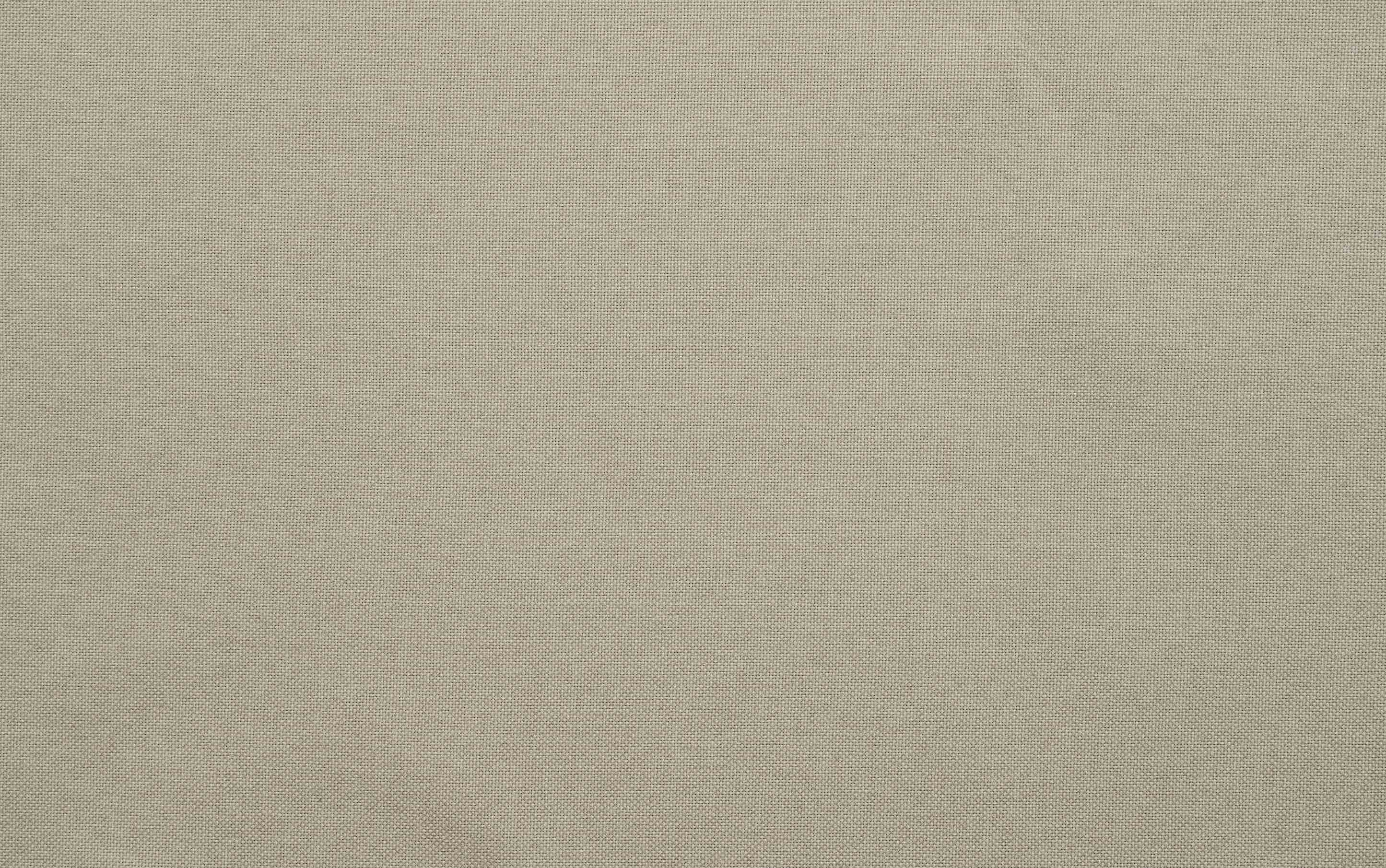 Loretta Dining Chair (Set of 2)