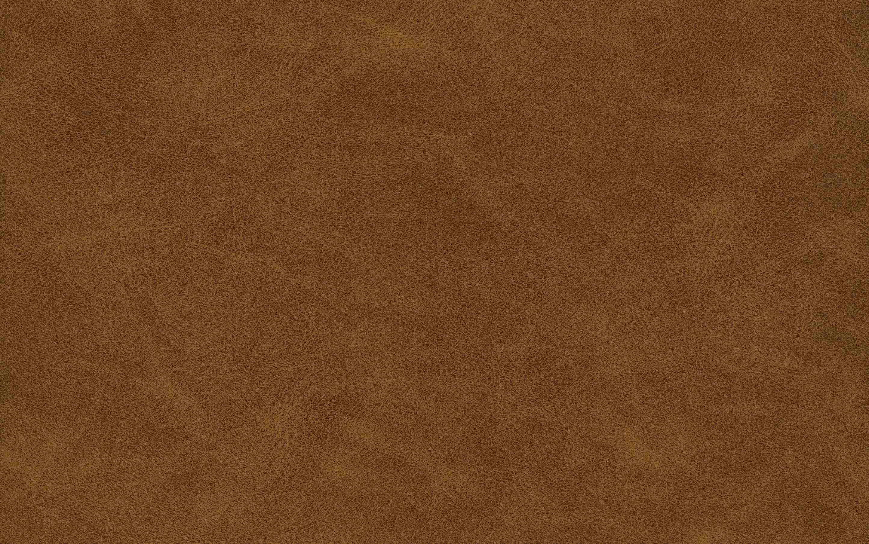 Marana Bentwood Adjustable Swivel Bar Stool