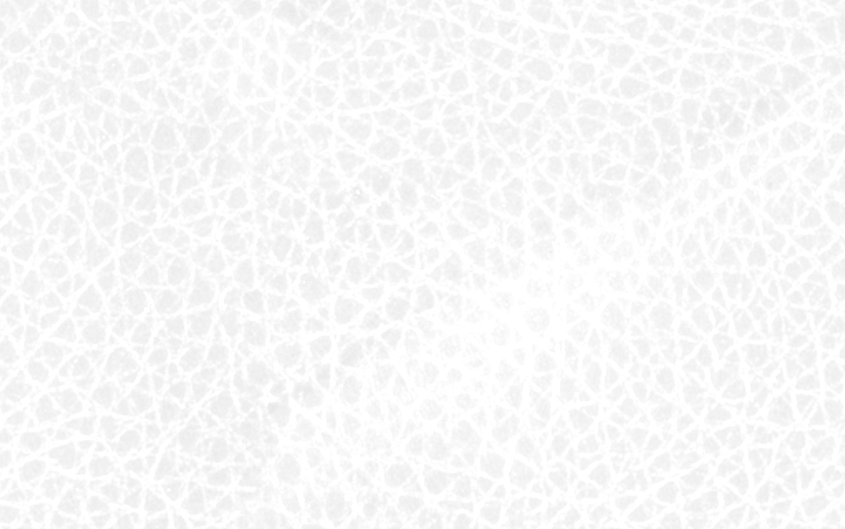 Marana Bentwood Adjustable Swivel Bar Stool