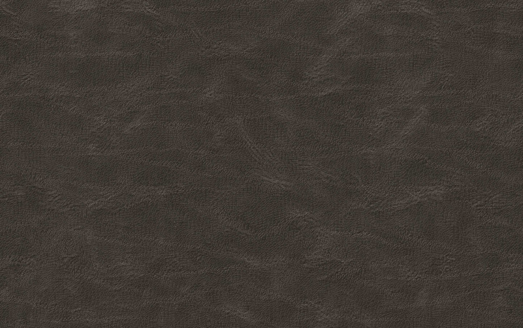 Malden Dining Chair with Wood Back