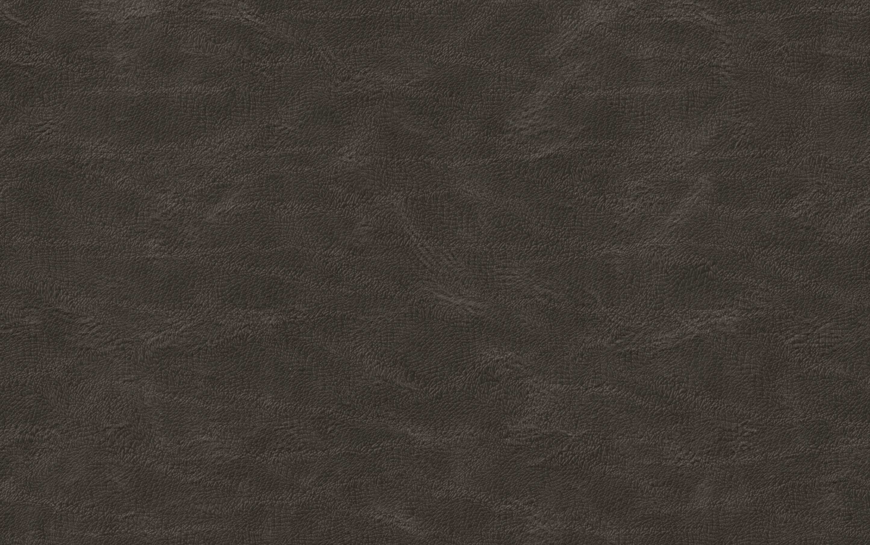 Malden Dining Chair with Wood Back